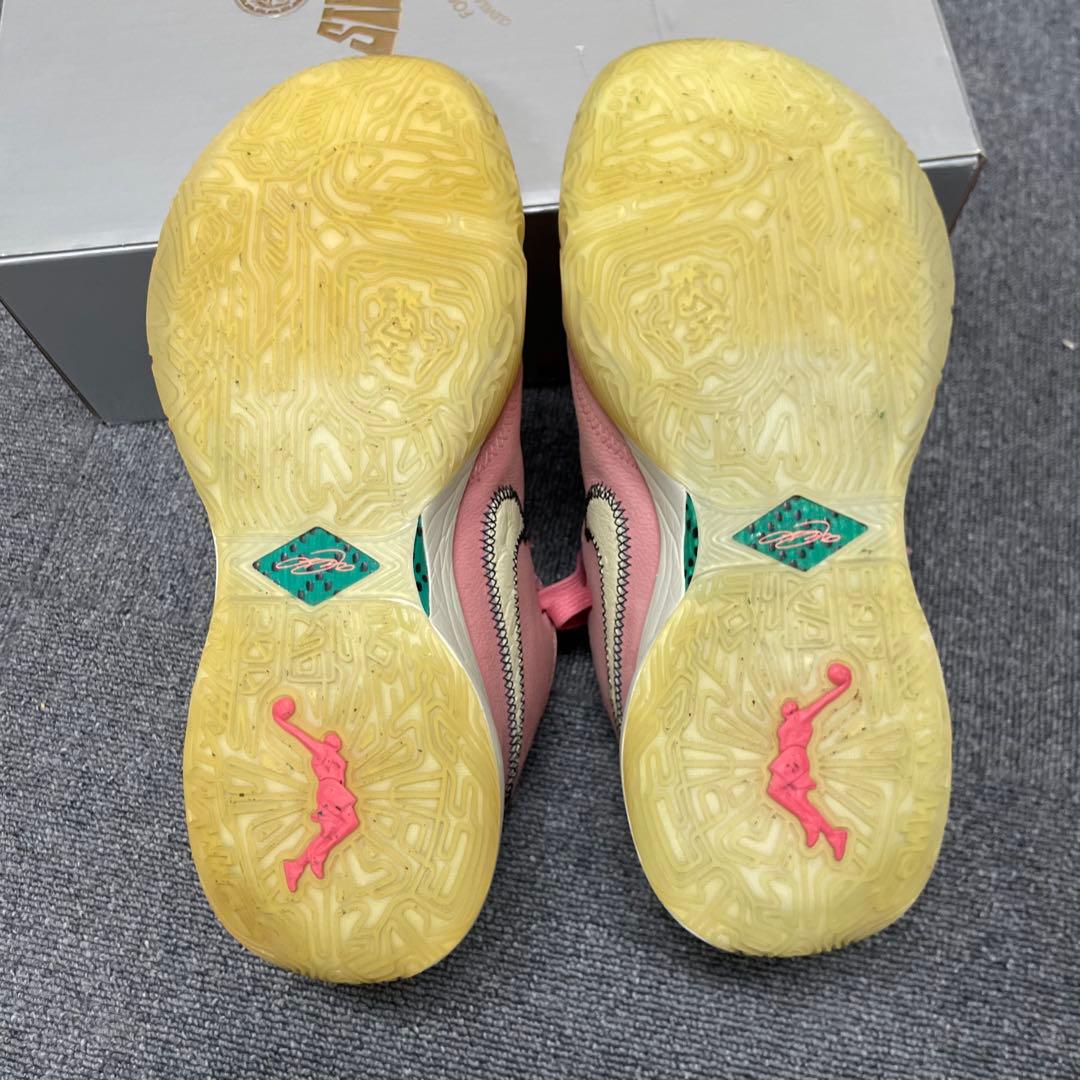 シューズ(男性用) NIKE LeBron20 South Beast