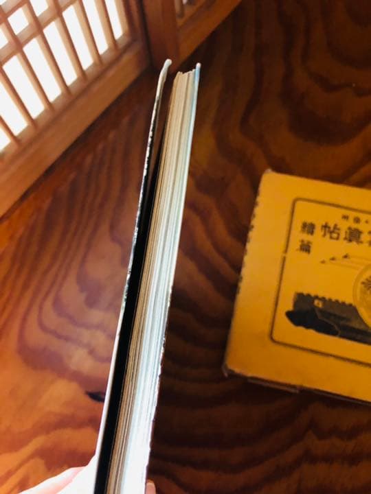 支那事変写真帖　続編