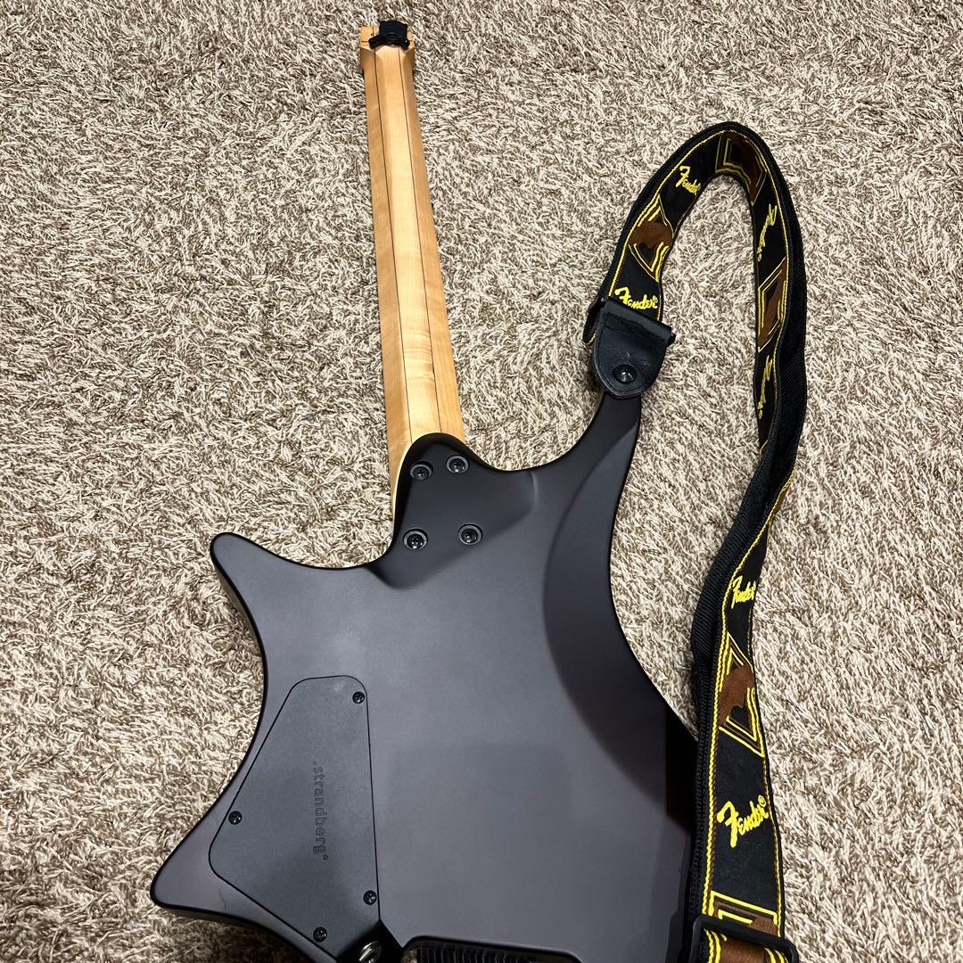 【美品】strandbergNX6 BodenStandard6弦ギター 付属品