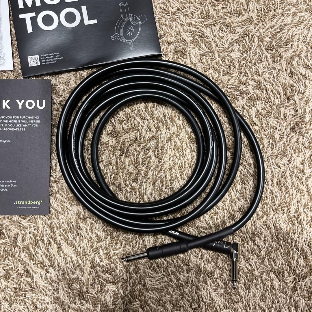 【美品】strandbergNX6 BodenStandard6弦ギター 付属品