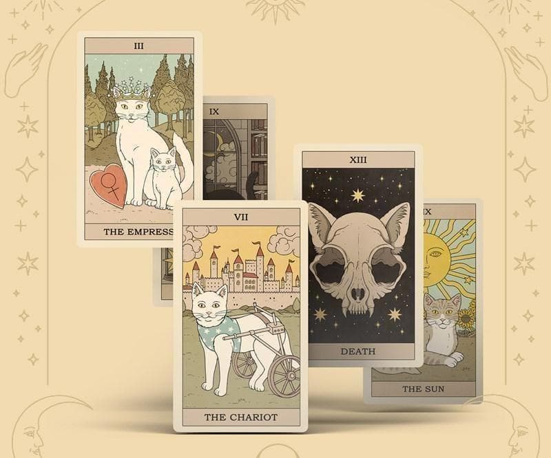 正規品✨人気デッキ✨日本版未発売✨可愛いにゃんこ♪地球の猫たちのタロットカード