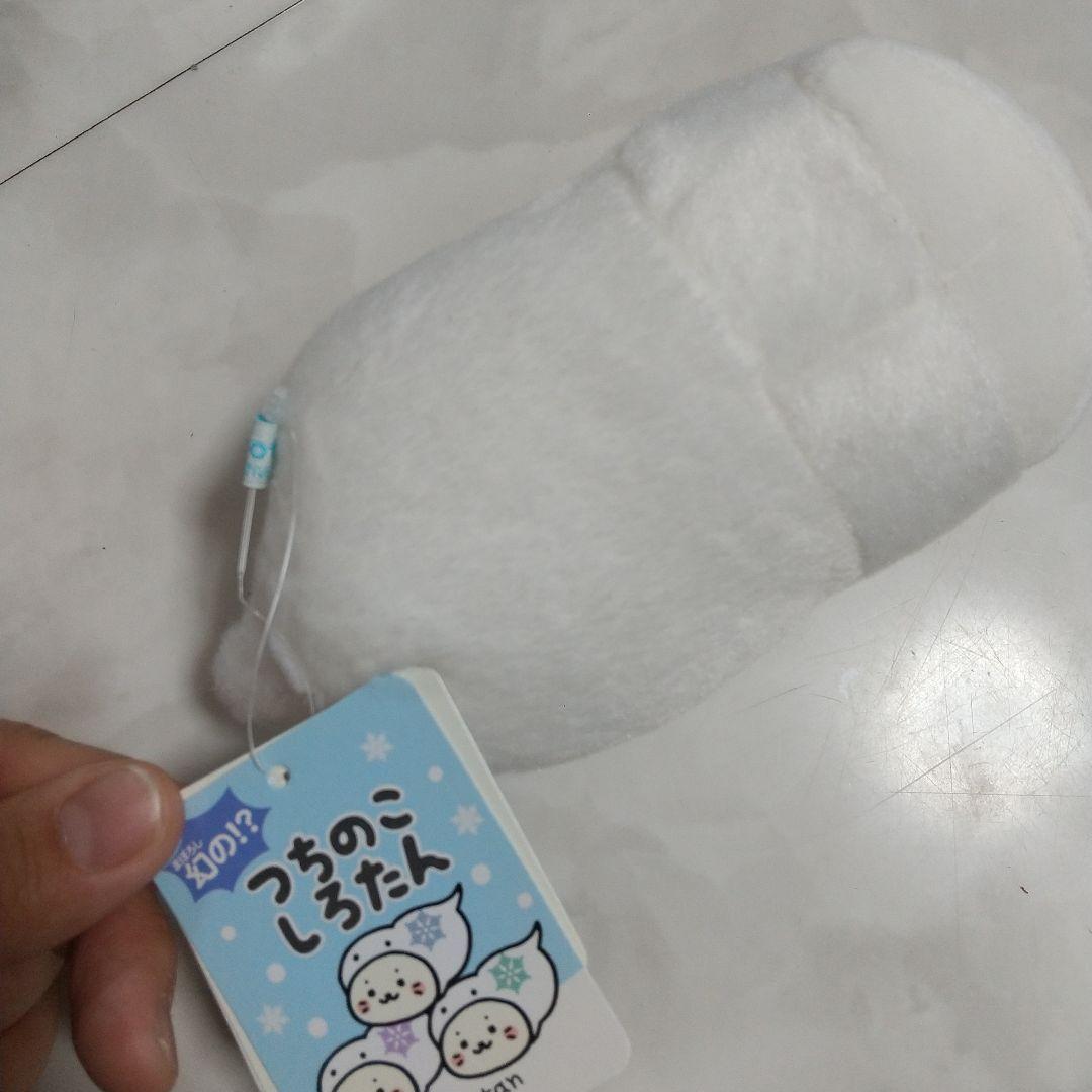 新品　しろたん　つちのこたん ららぽーと立川立飛店限定 ゆきのこたん