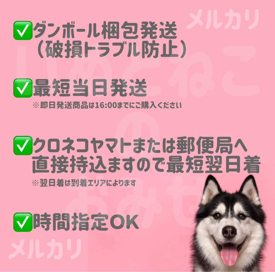 シュプレモ小型犬用 成犬用 ドッグフード3kg2袋