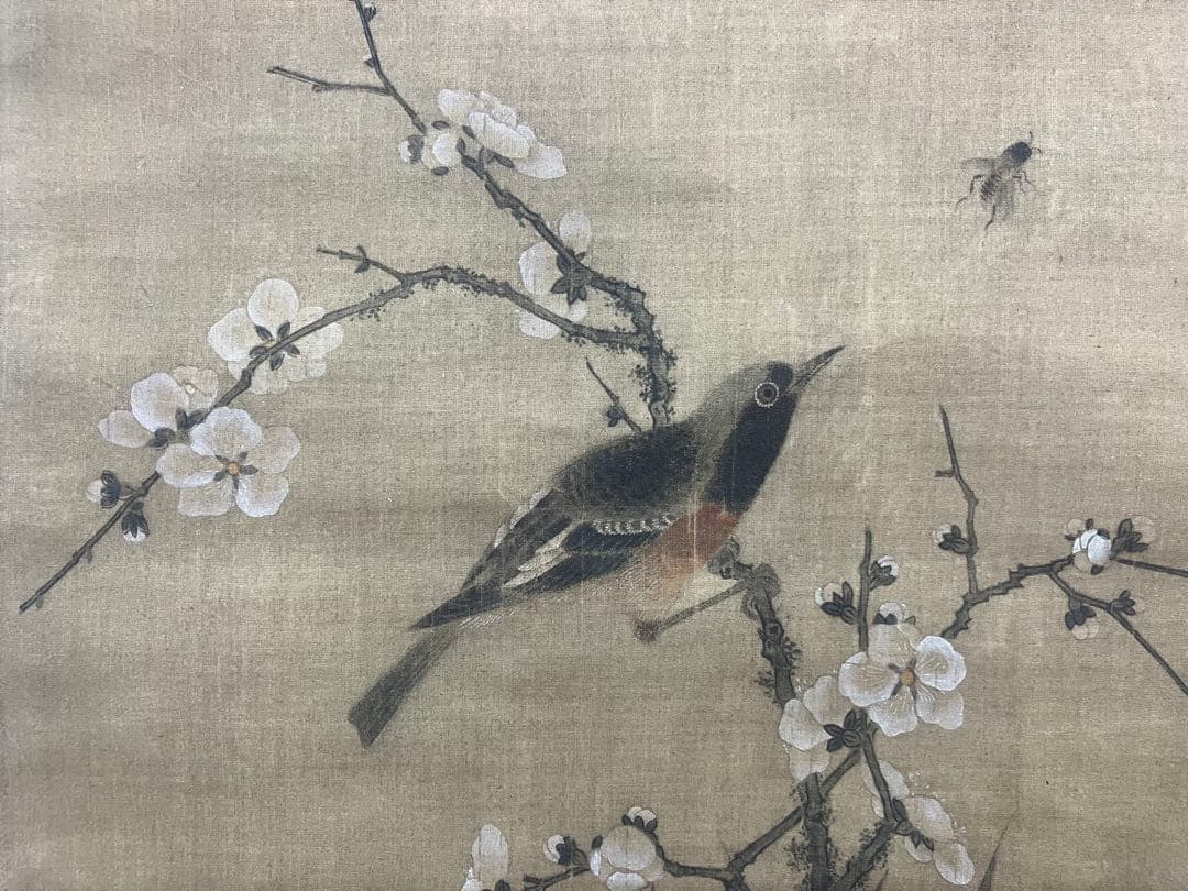 渡辺崋山【花鳥図】絹本　掛軸　識箱