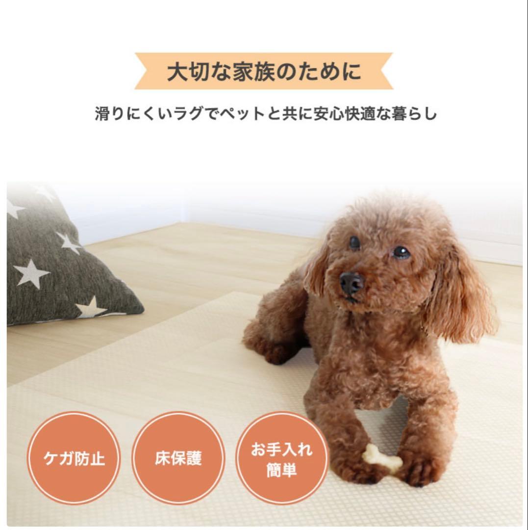 パイナ