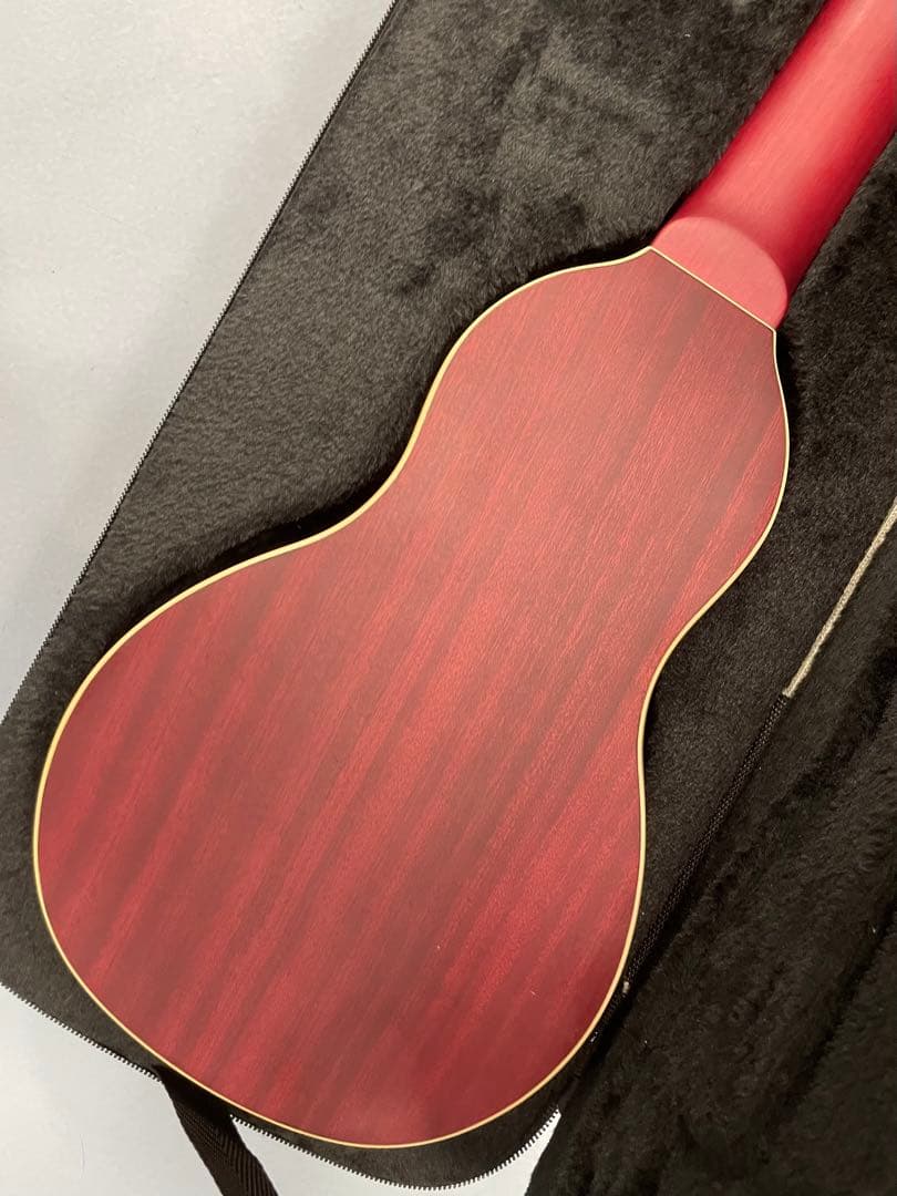 Washburn Travel Series Rover RO10 ケース付き