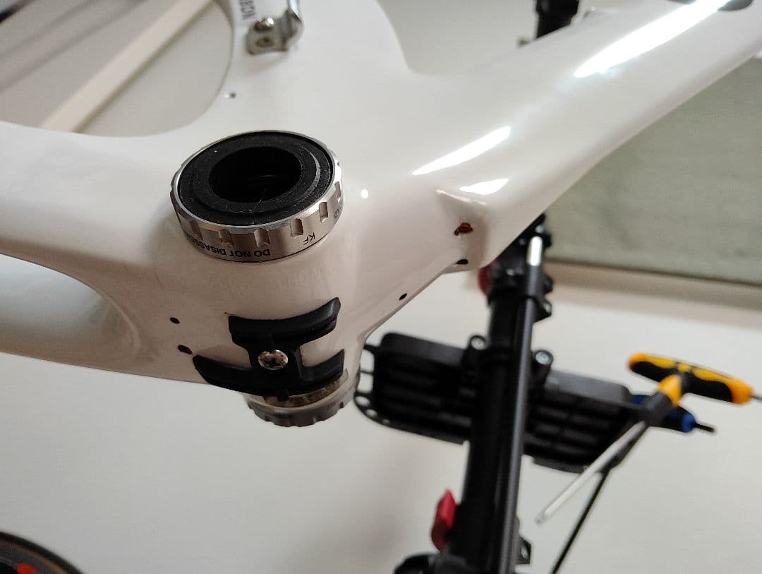 CEEPO VENOM Lサイズ　フレームセット
