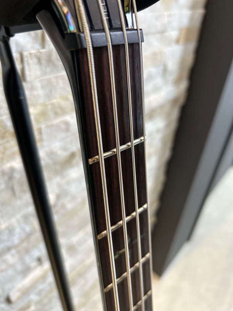 【お値下げ不可】Schecter AD-C-4-HR EMG スルーネック