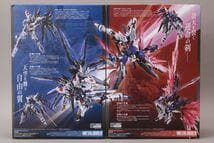 未開封 メタルビルド デスティニーガンダム ストライクフリーダム 2点セット