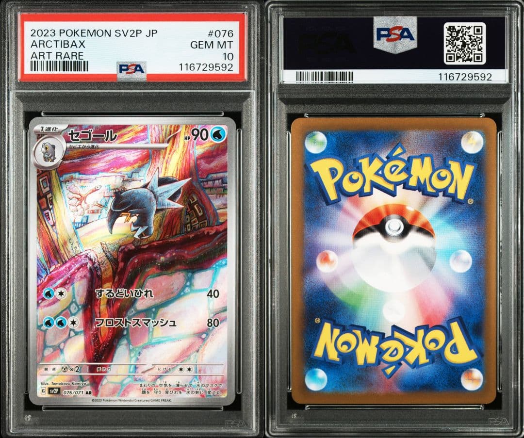 連番 セビエ セゴール セグレイブar psa10 最新ケース