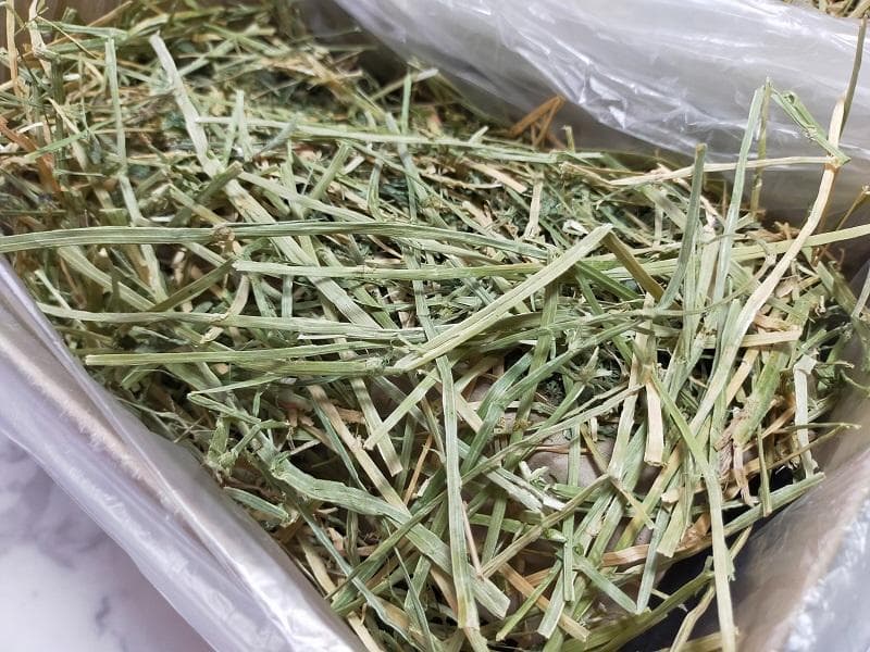 US産 チモシー 100kg ２番刈 ソフトスーパープレミアム