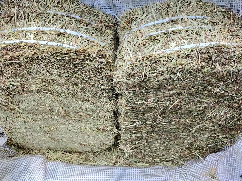 US産 チモシー 100kg ２番刈 ソフトスーパープレミアム