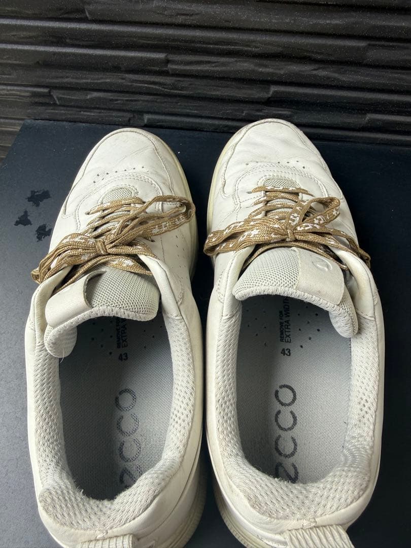 エコー　ECCO