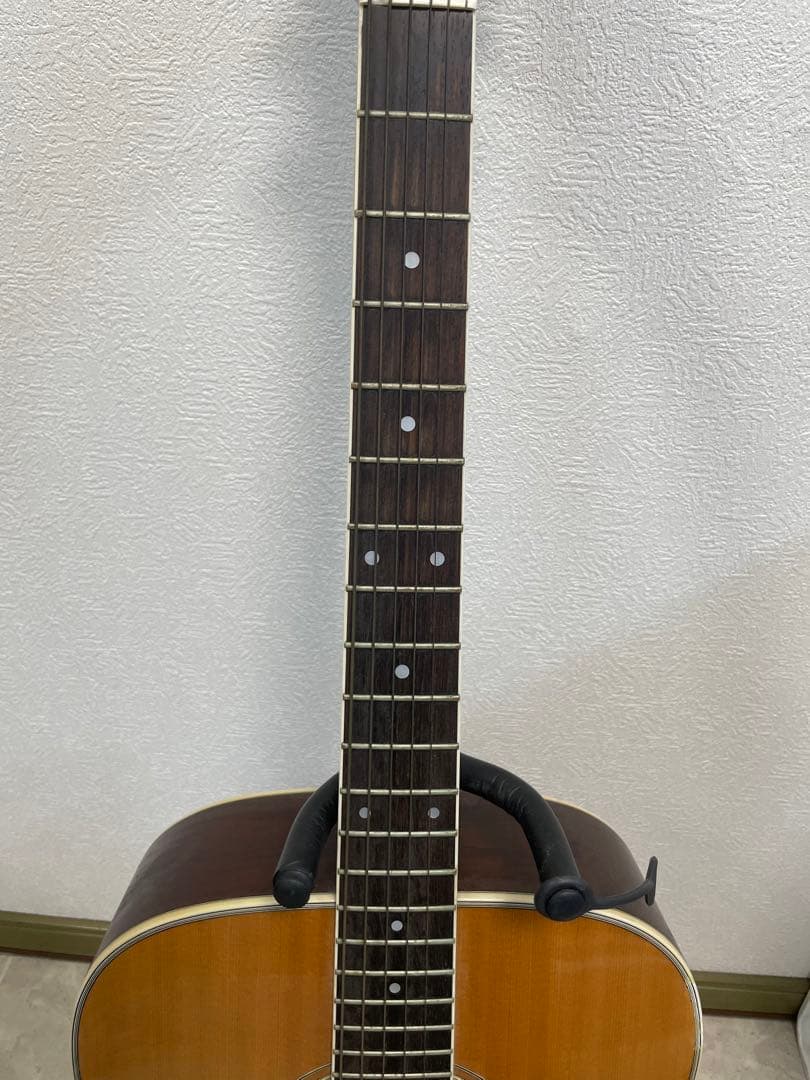 Morris アコースティックギター