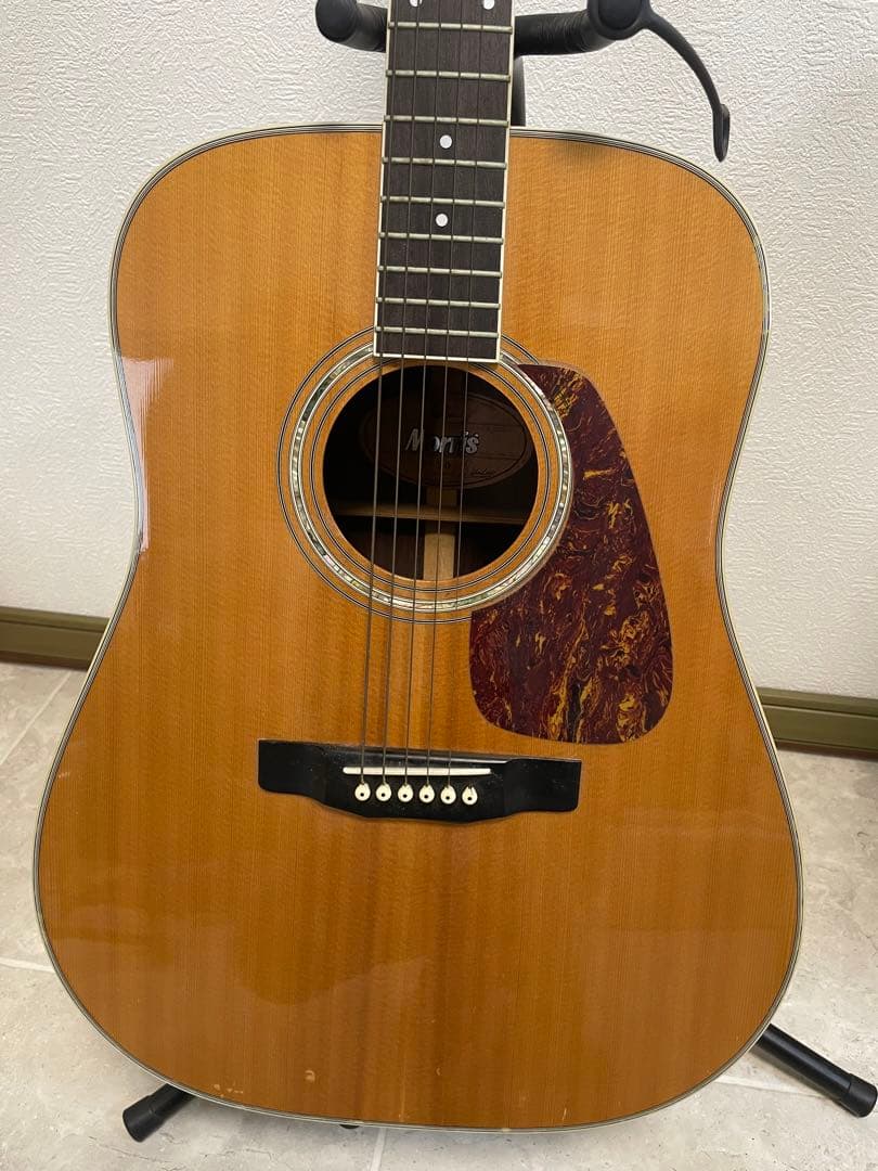 Morris アコースティックギター