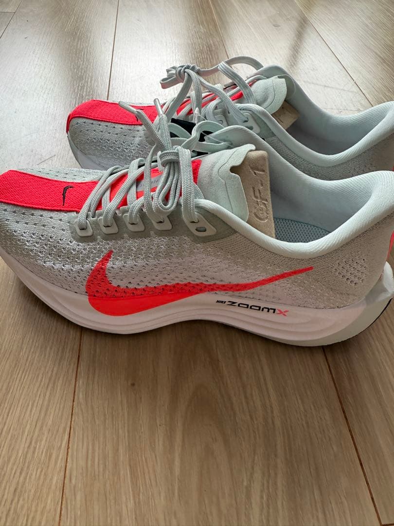 NIKE ペガサスプラス　レディース23cm