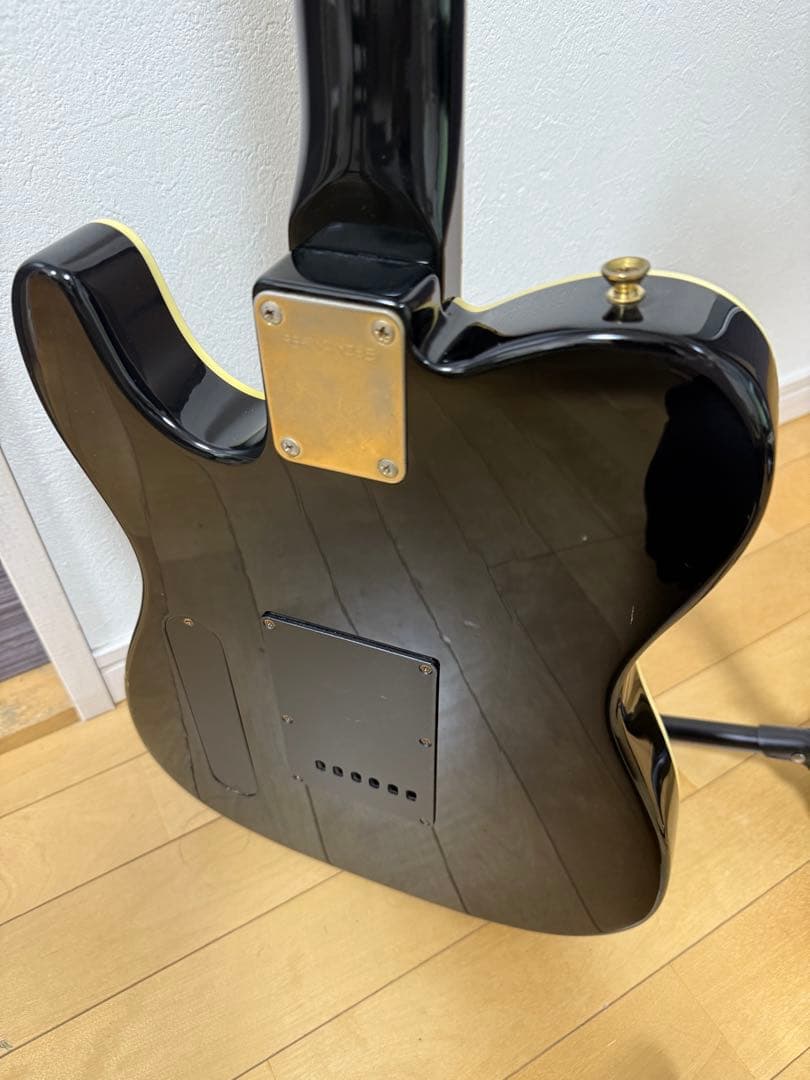 FERNANDES フェルナンデス　TEJ55G 布袋