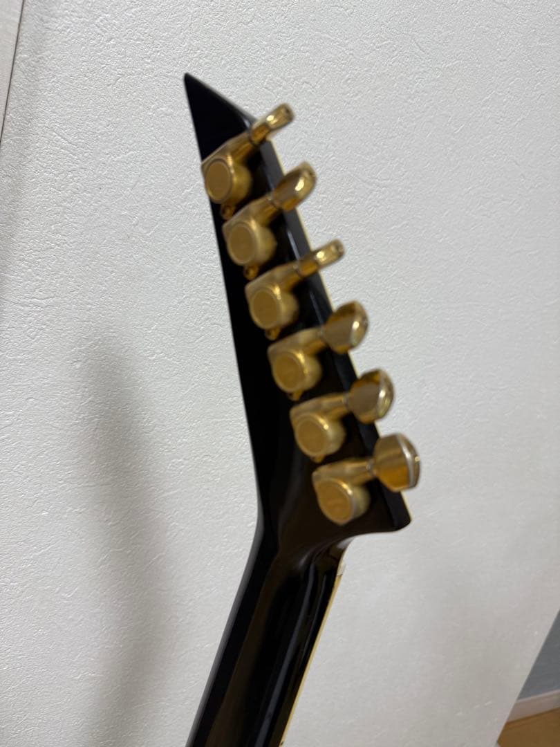 FERNANDES フェルナンデス　TEJ55G 布袋