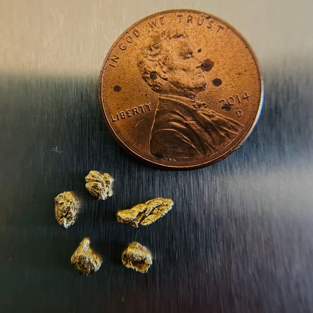 Colorado 自然金 Gold Nuggets 0.5g
