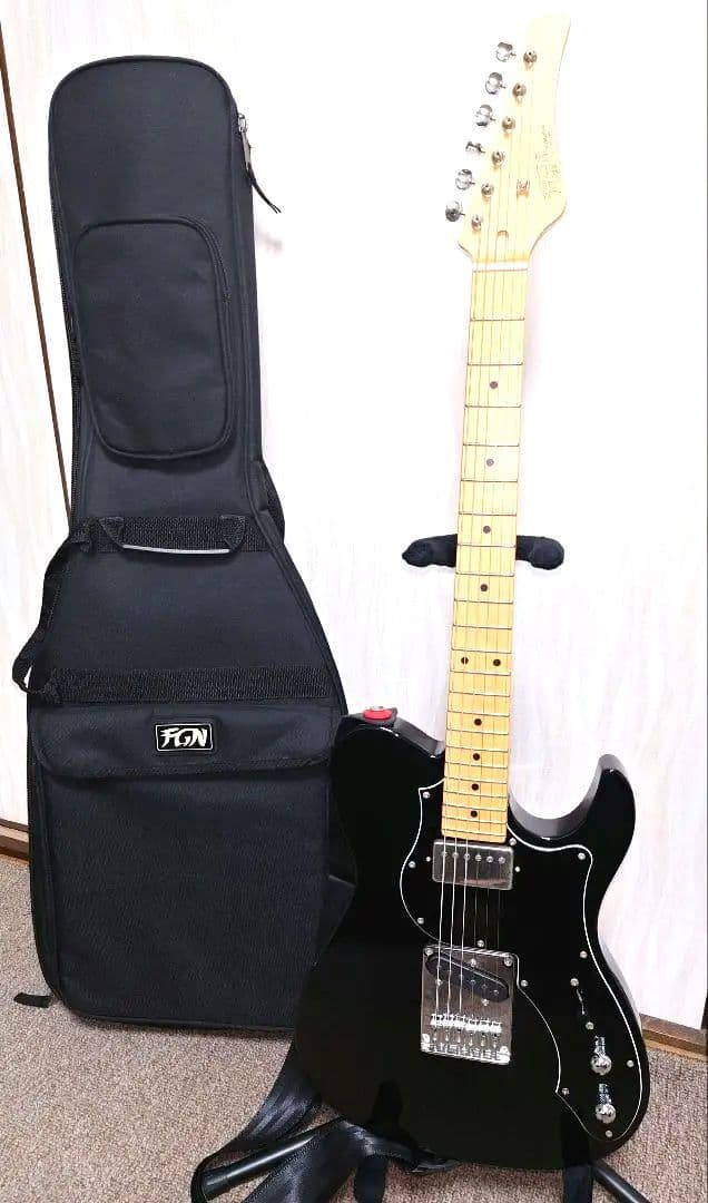 FUJIGEN FGN フジゲン テレキャスター ギター