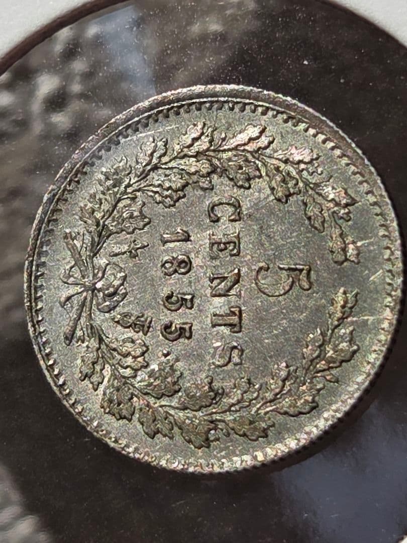 (稀少な状態)ネーデルランド王国　ウィレム3世　5セント銀貨　1855