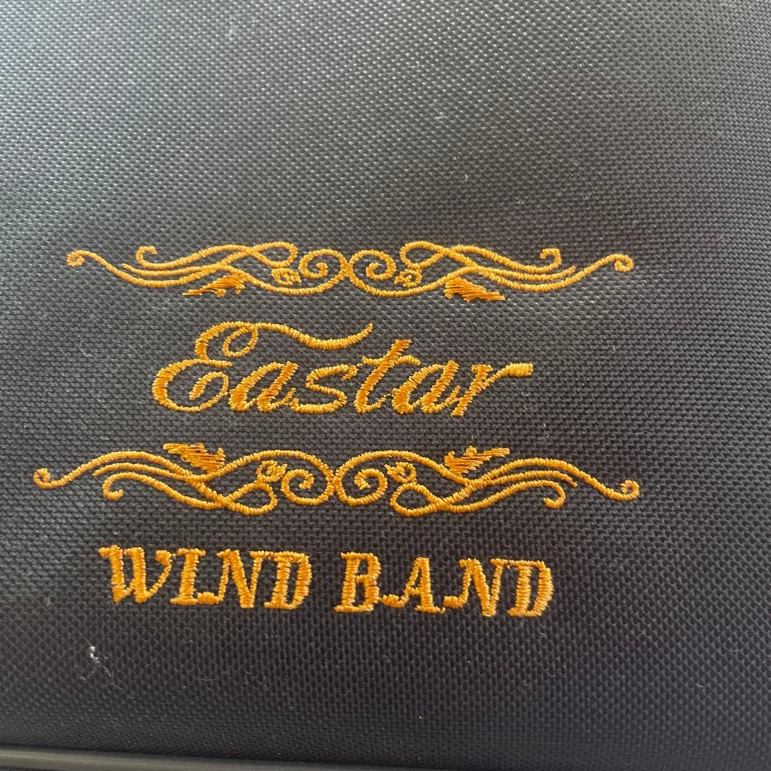 Eastar イースター　アルトサックス