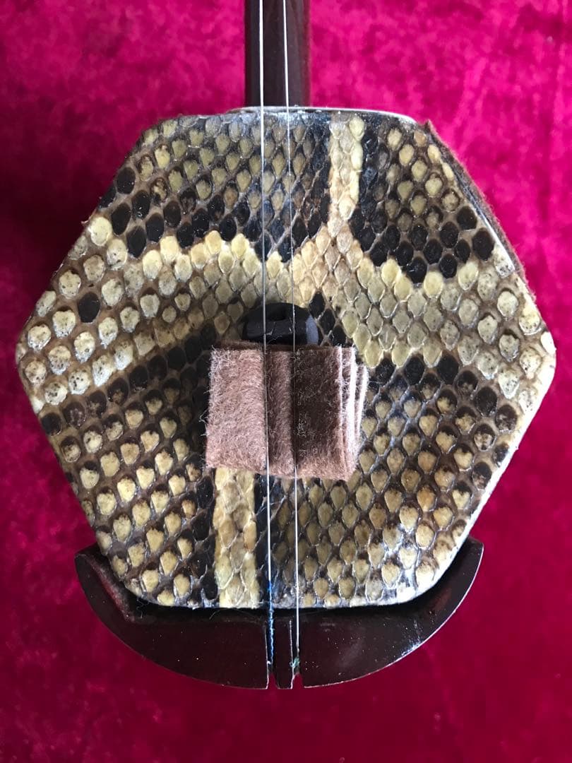 二胡★中古品★蛇本皮★音など確認済み