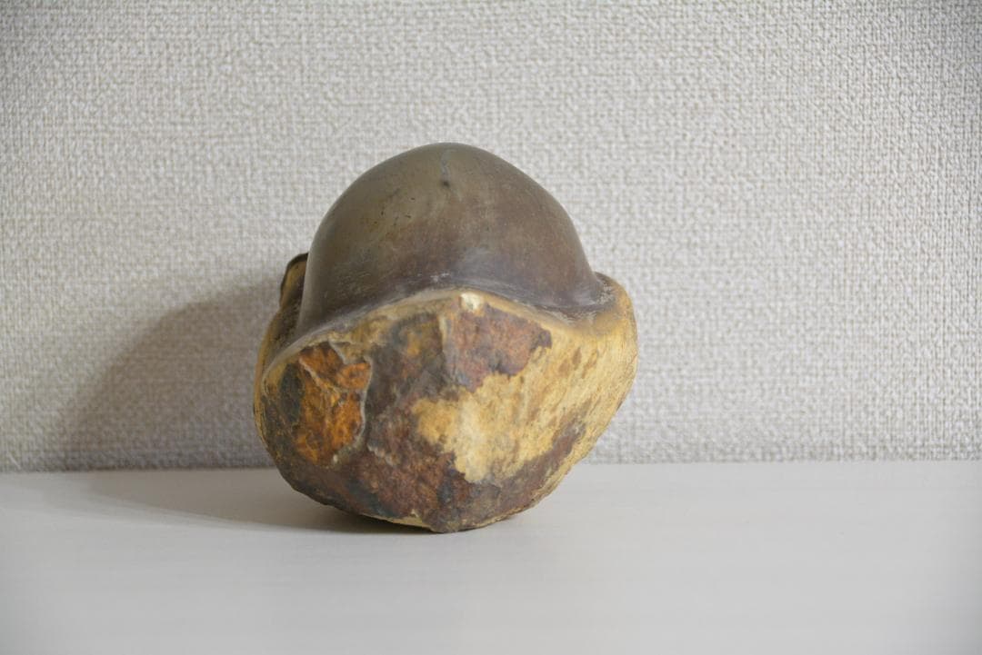 ●学術用●恐竜の卵 たまご 化石 標本 鑑賞石 ★本物