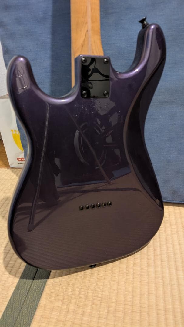 ギター Warmoth(body) stratocaster
