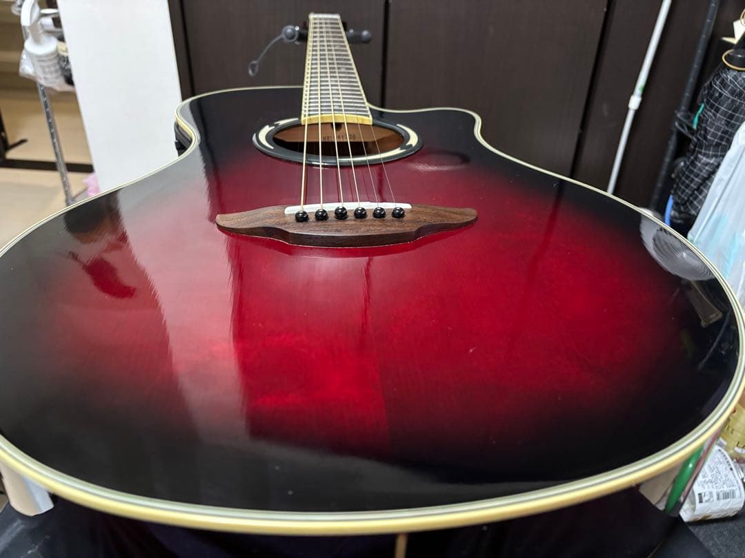 Yamaha APX500Ⅲ