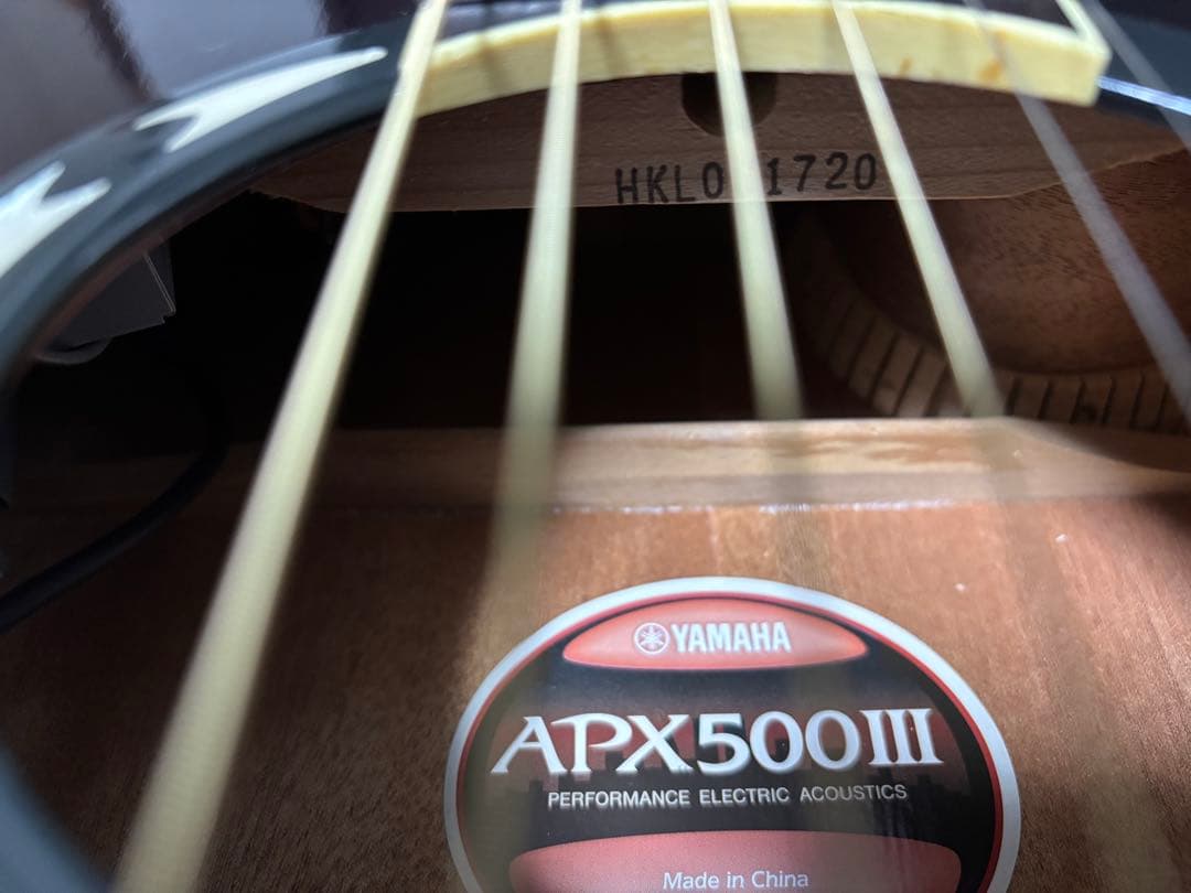 Yamaha APX500Ⅲ