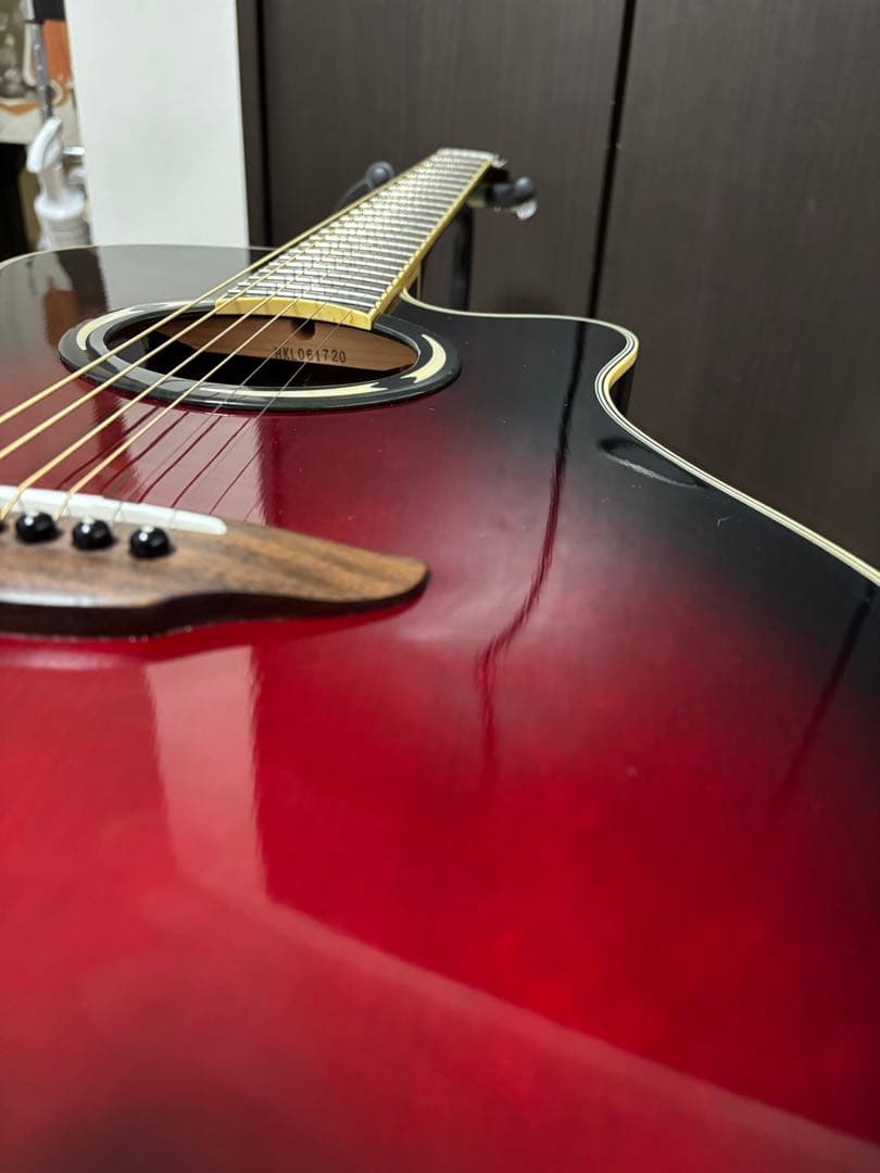 Yamaha APX500Ⅲ