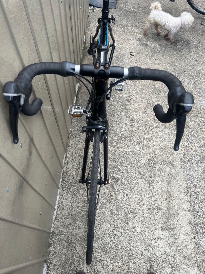 中古のAnchor RL3