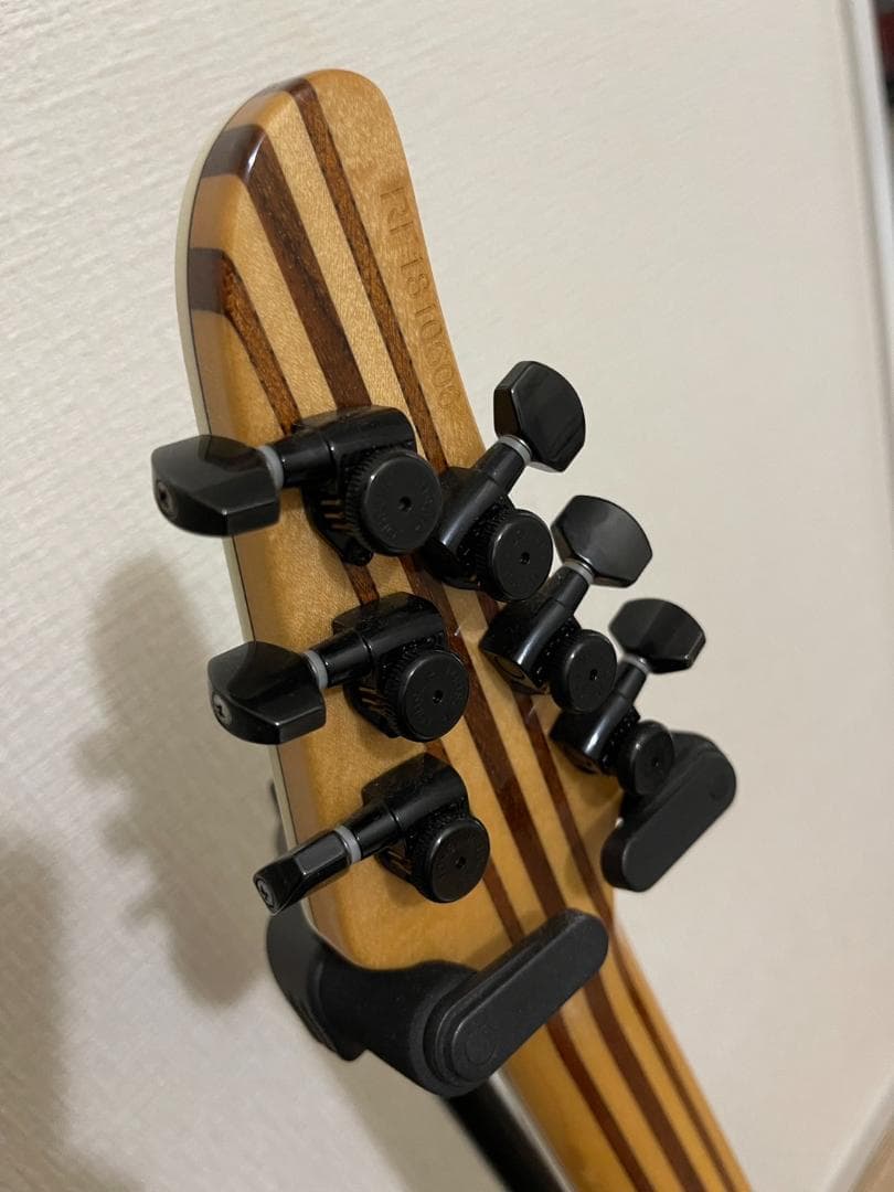 【HAL】Mayones regius6 ケース2種