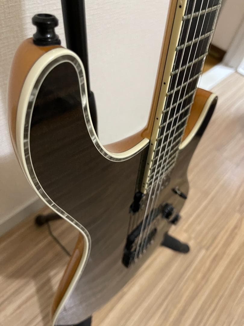 【HAL】Mayones regius6 ケース2種