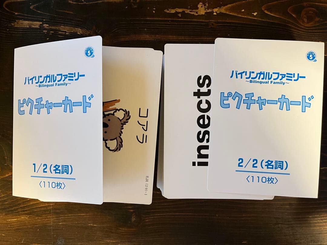 家庭保育園 第5教室 バイリンガルファミリー ＋その他 英語教材23種セット