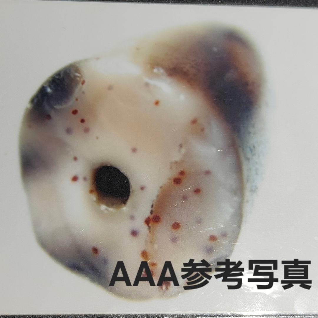 7 老礦天珠　特殊靠山地天珠　天珠　天然石　風水　占い　ブレスレット　ネックレス