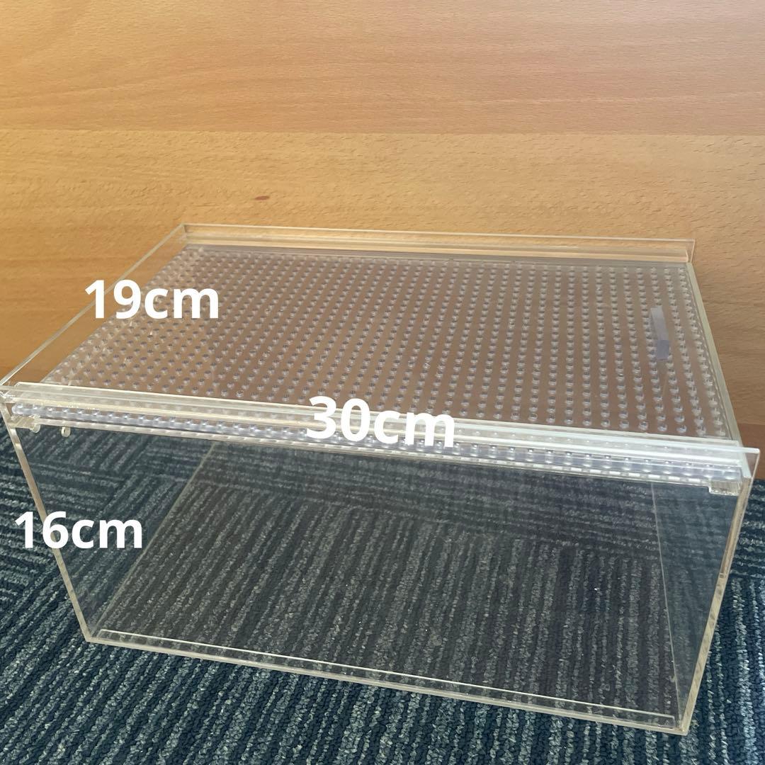 爬虫類飼育セット 中型