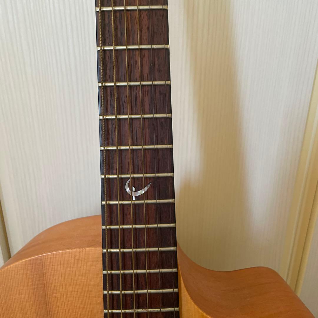 Earth アコースティックギター