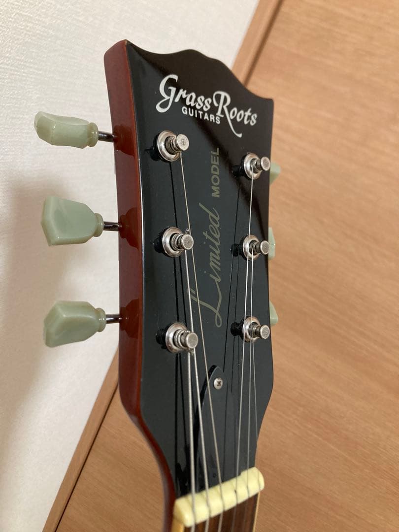 Grass Roots by ESP レスポール
