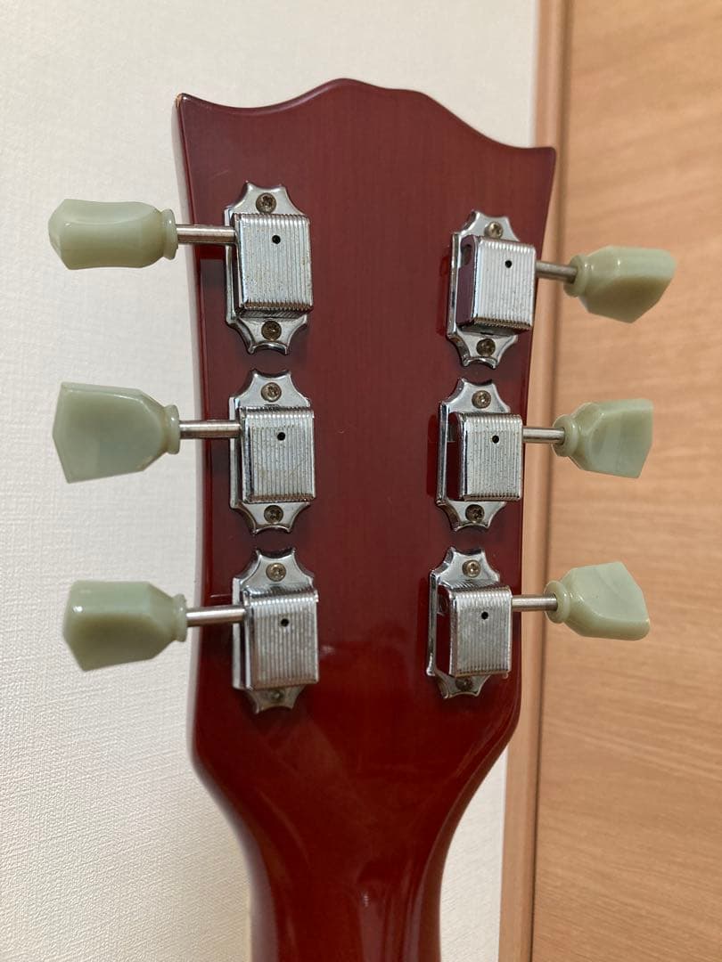 Grass Roots by ESP レスポール