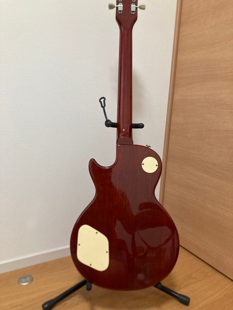 Grass Roots by ESP レスポール