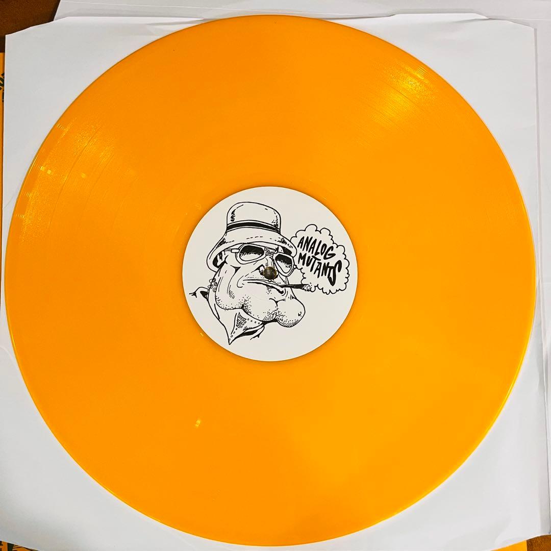 洋楽 ANALOG MUTANTS BROTHERS OF INVEHTION