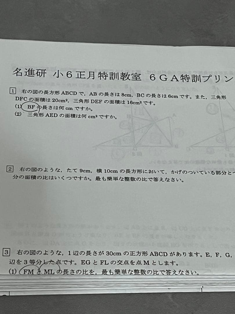 名進研　小6 サンデー名進研⭐︎志望校別特訓⭐︎正月特訓