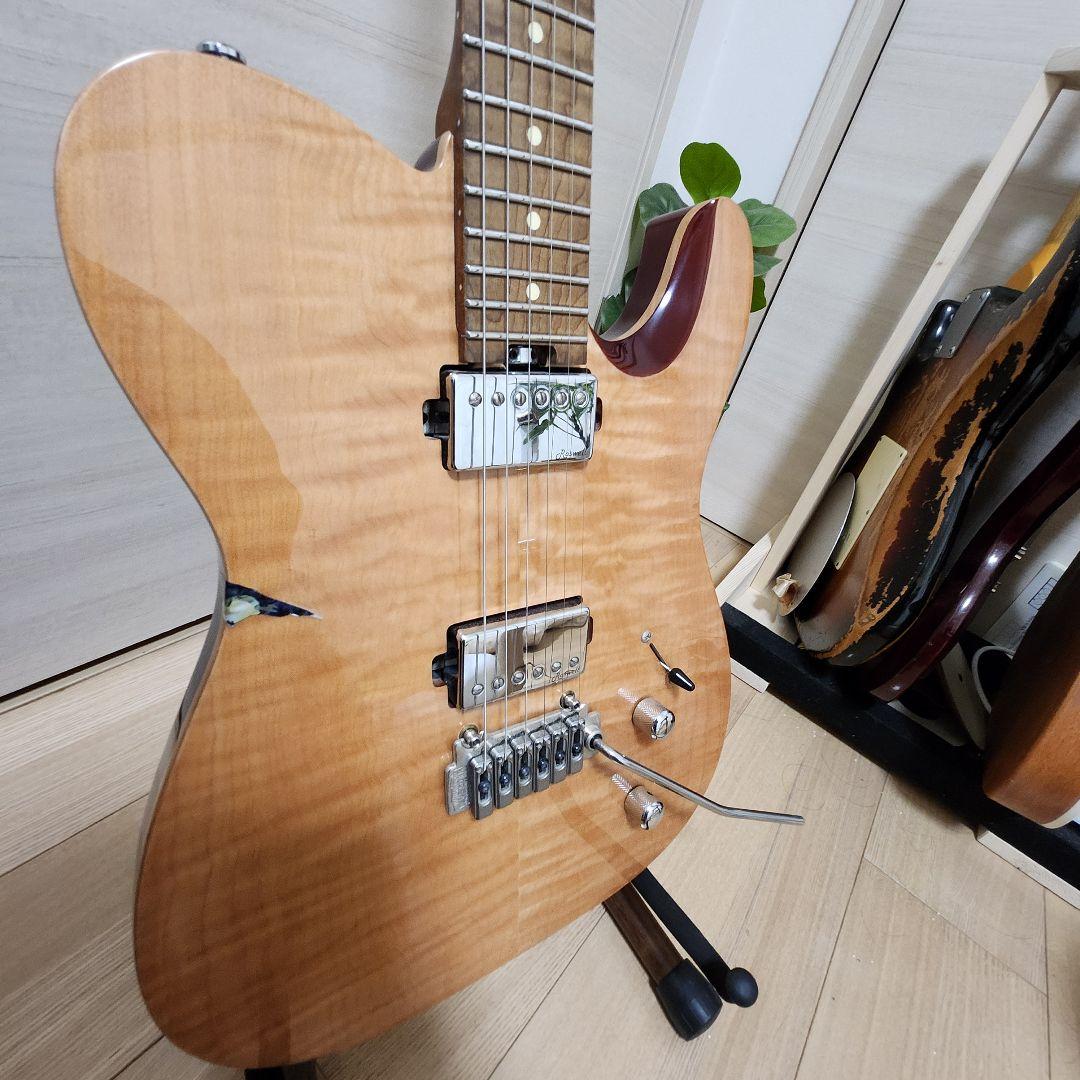 【最終値下げ】Harley Benton Fusion-T RoastedFNT