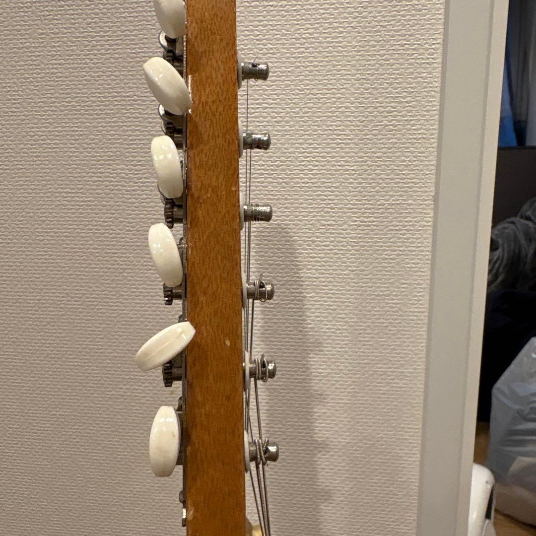 tomson splendor ビザールギター