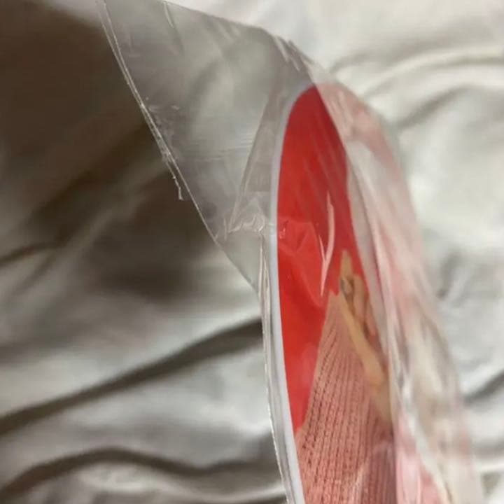 SEVENTEEN ホシ うちわ