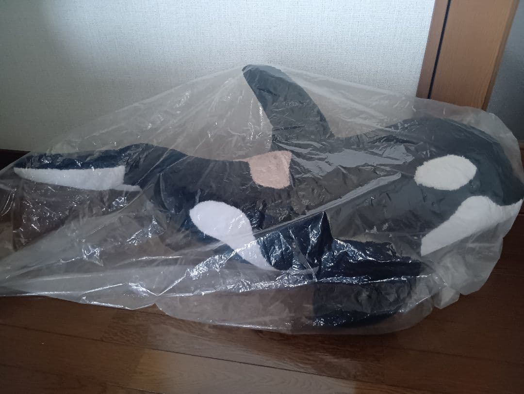 鴨川シーワールド　シャチのぬいぐるみ 100cm