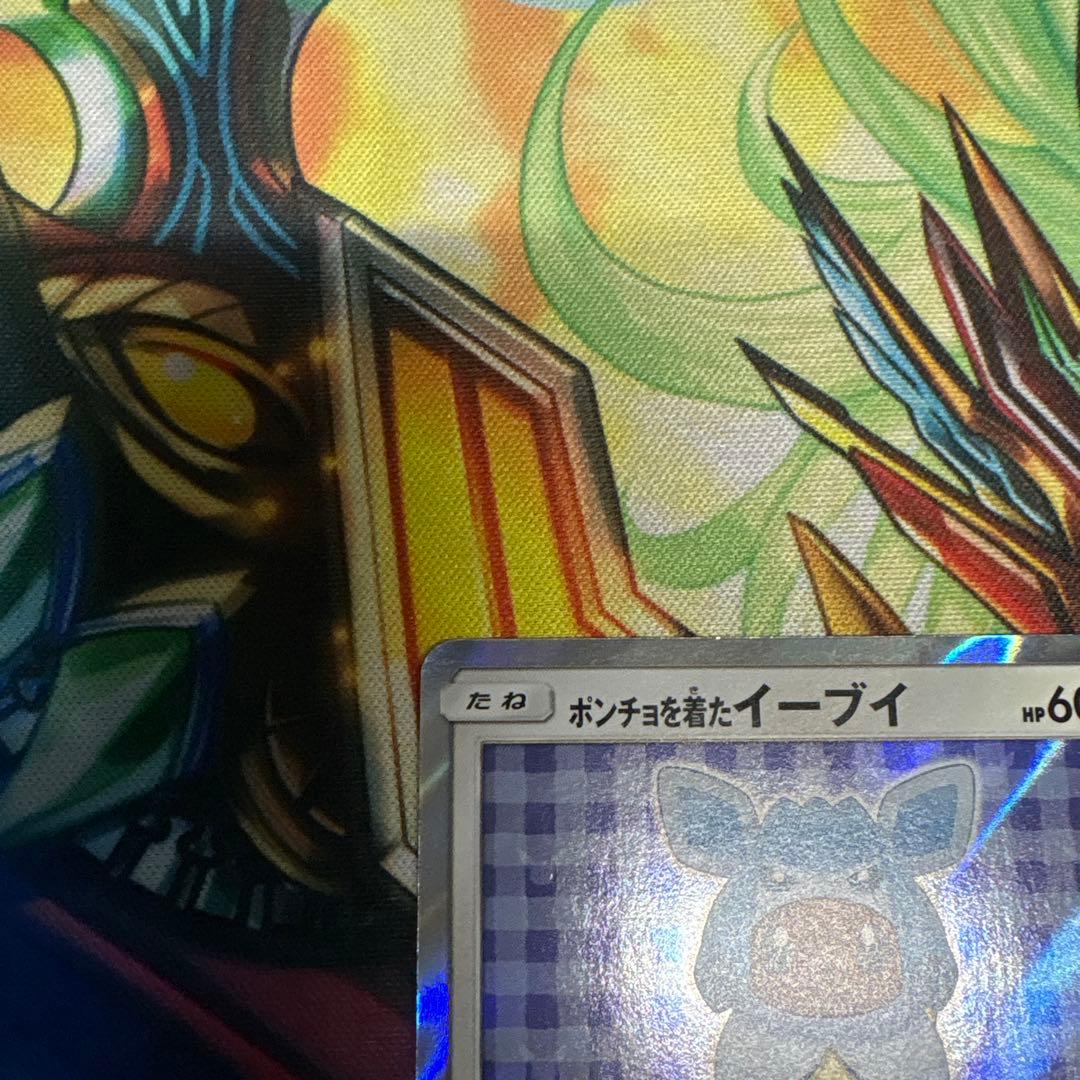 ポンチョを着たイーブイ グレイシア