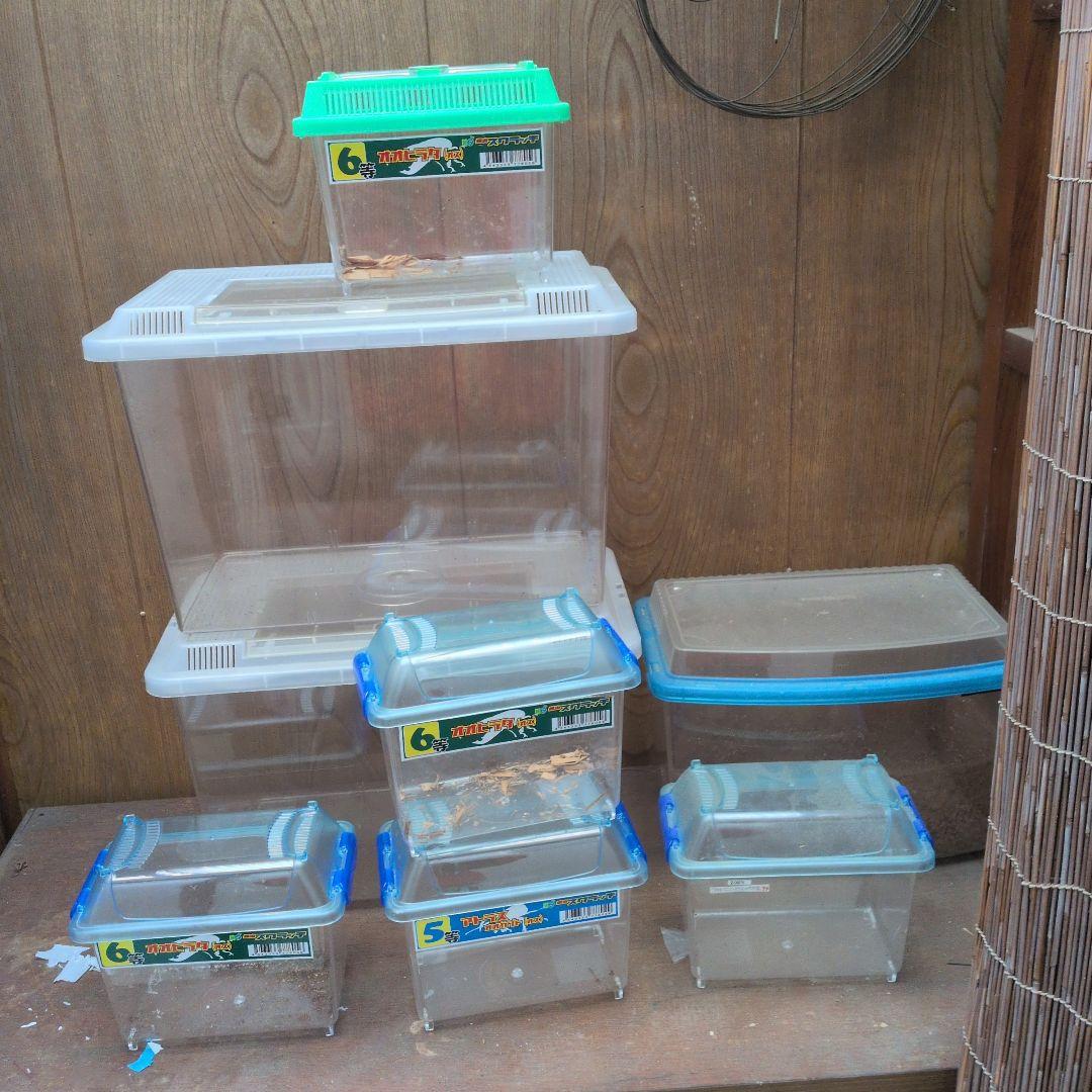 飼育ケース